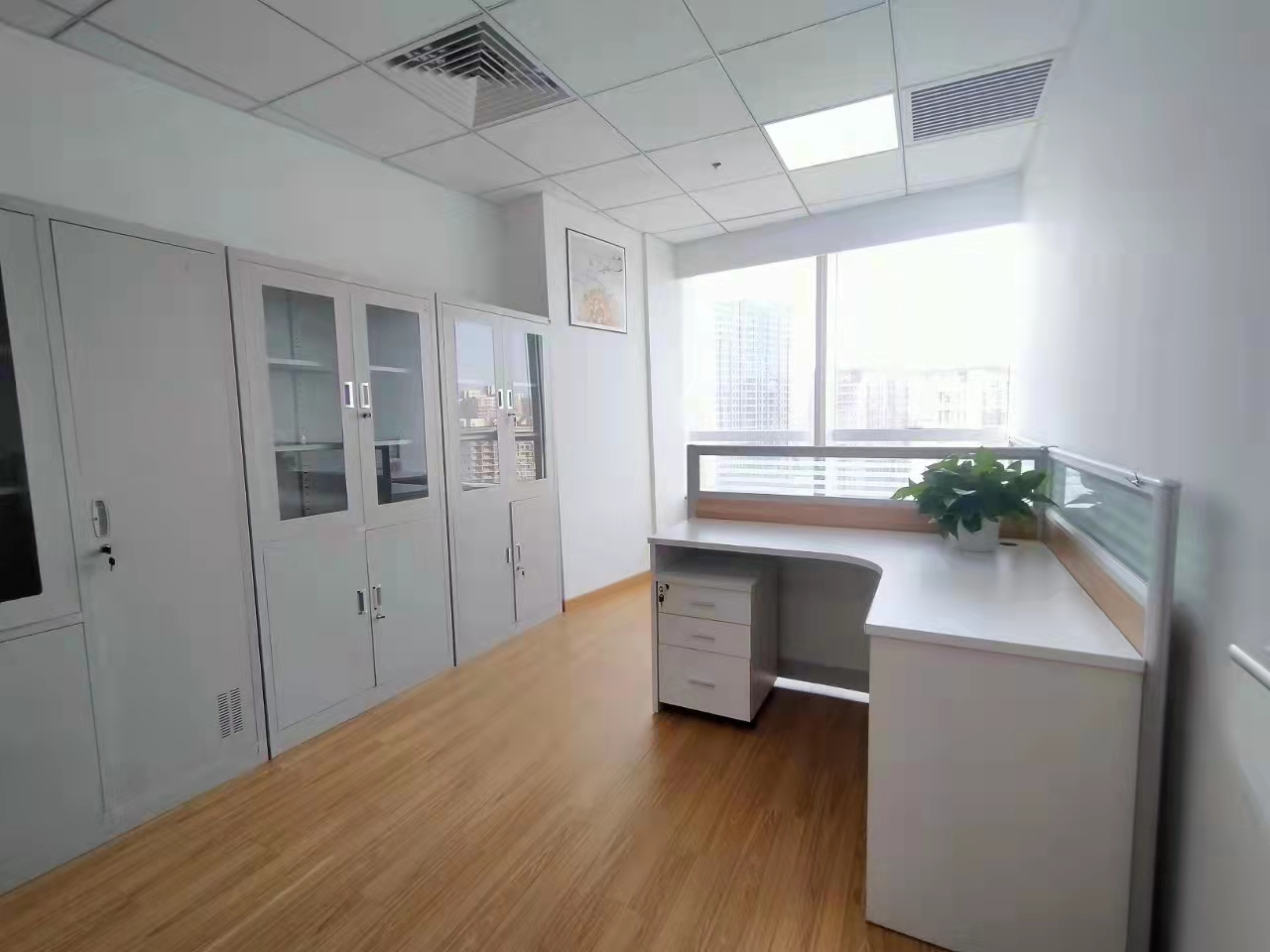 泰德地产